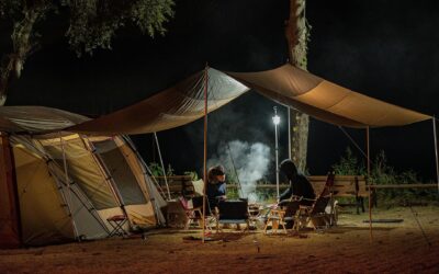Important Firewood Reminder for Campers